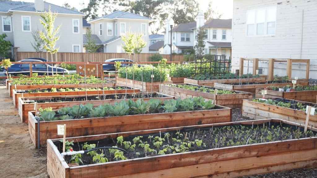 DIY raised bed garden plan