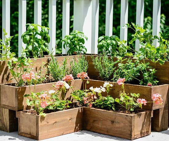 DIY tiered herb garden