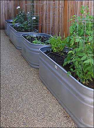 galvanized raised garden bed with trellises