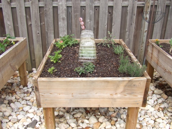 mini elevated raised garden bed
