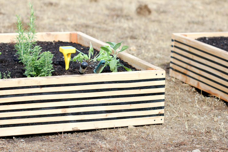 striped raised beds