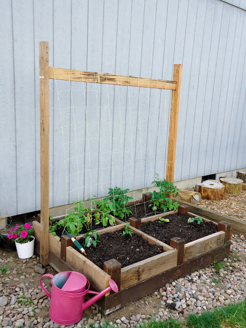 the subdivided raised bed