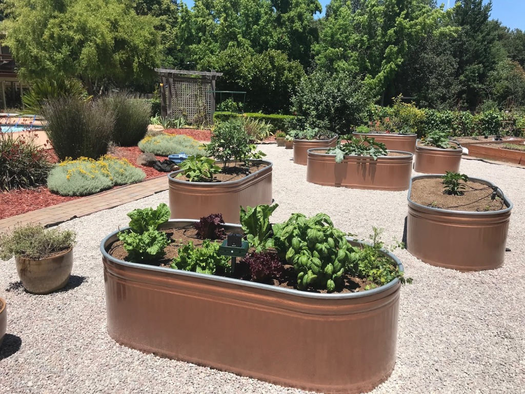 water troughs raised beds